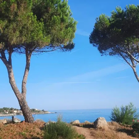T3 Climatisé Marine De Sant'ambroggio Lumio (Corsica)